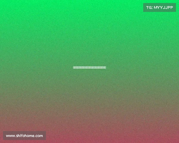 足球球员转会协议管理方案的制定与实施路径探讨